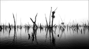 Rio Chepu / Cile