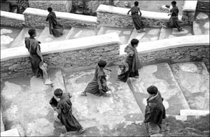 Shey / Ladakh