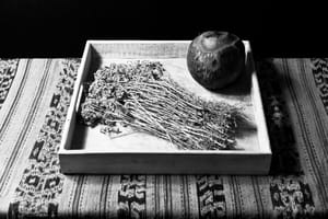 Cocco e fiori secchi
